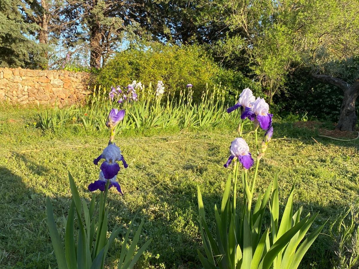 Villa Faro Provence Var Montfort-sur-Argens ภายนอก รูปภาพ