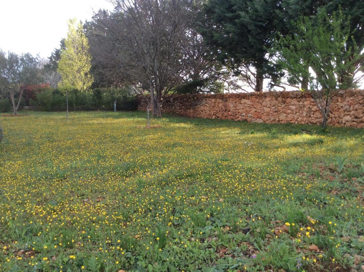 Villa Faro Provence Var Montfort-sur-Argens ภายนอก รูปภาพ